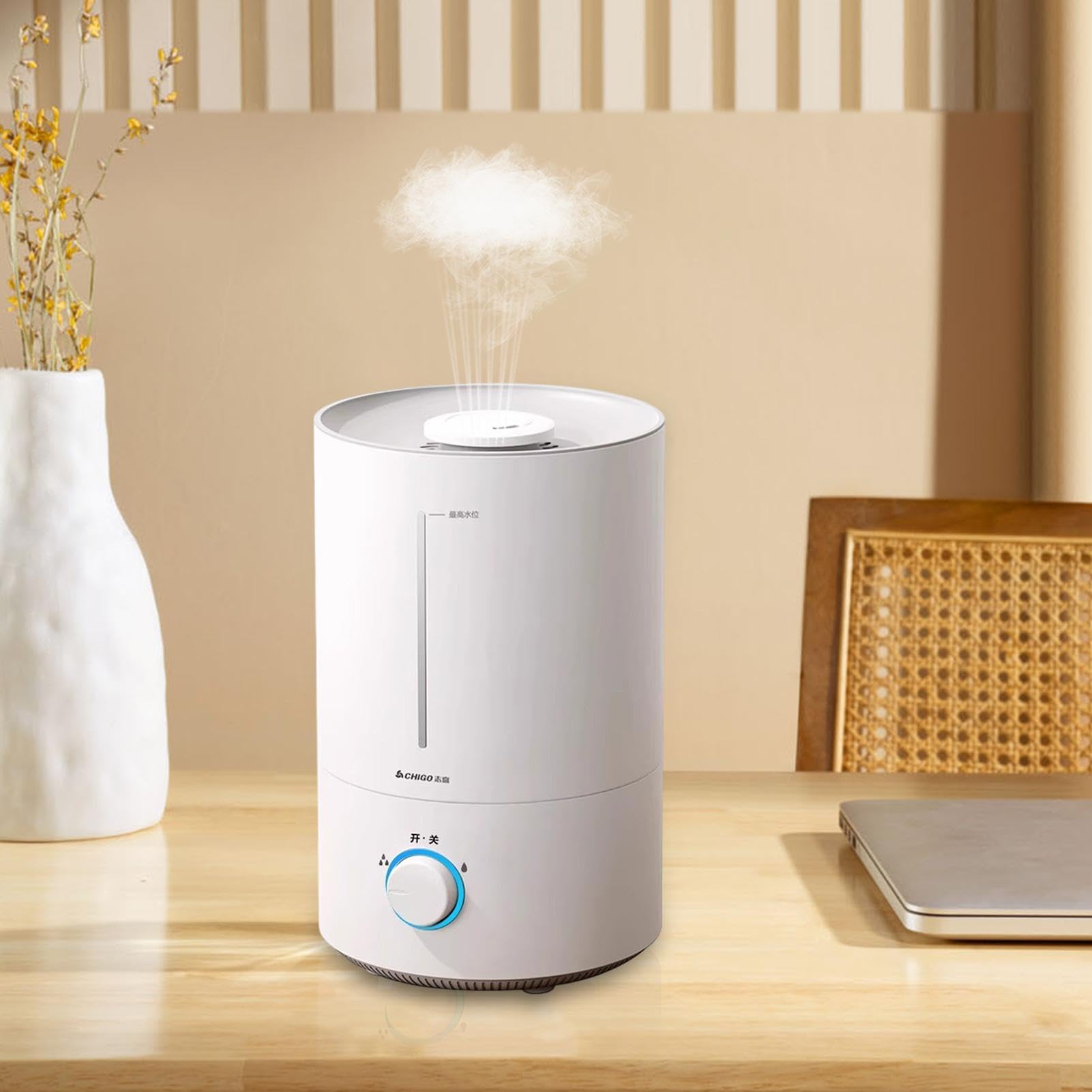 Umidificatore D'atmosfera, Umidificatore Per Camera Da,Umidificatore