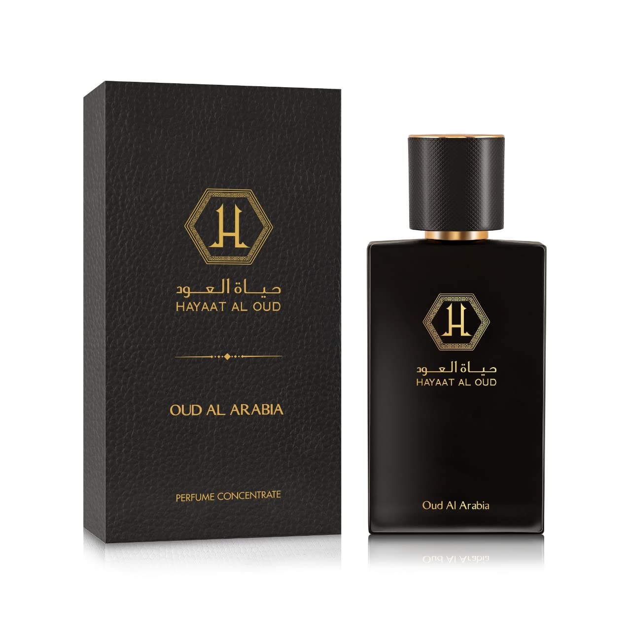 Buy Hayaat Al Oud Oud Al Arabia Perfume Concentrate 65ml Online at