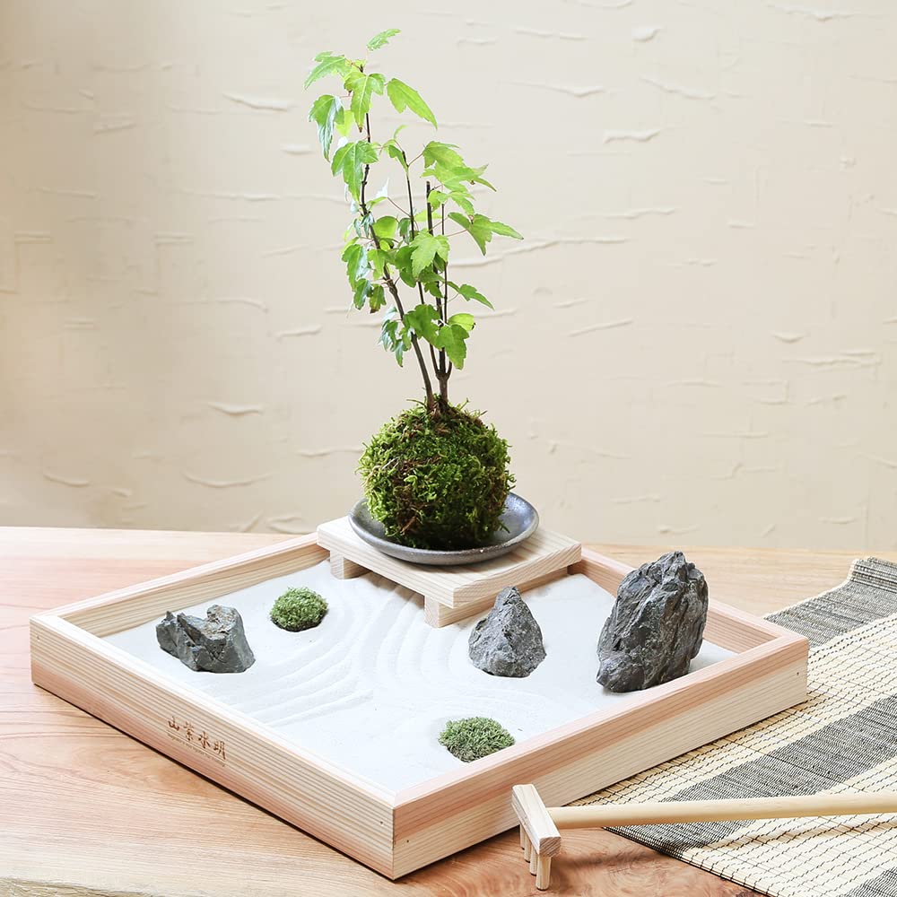 Amazon.co.jp: （盆栽）動画で作る 体験キット12 日本庭園 枯山水