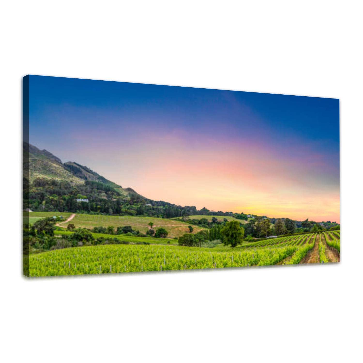 Large Canvas Wall Art Print Picture Constantia wine valley a view from constantia glen wine estate Painting Poster Stretched &Framed Modern Artwork Home Decor Living Room Ready to Hang 30x60in