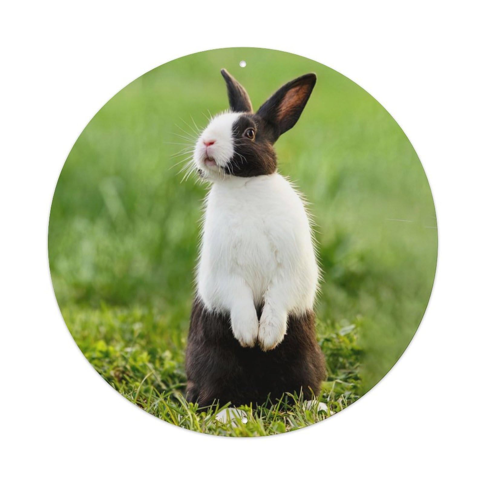 Dutch Rabbit Animal Vintage Metal Tin Sign Plaque Wall Decor for Cafe, Club Bar, Office, Garden Metal Poster 8x8Inch