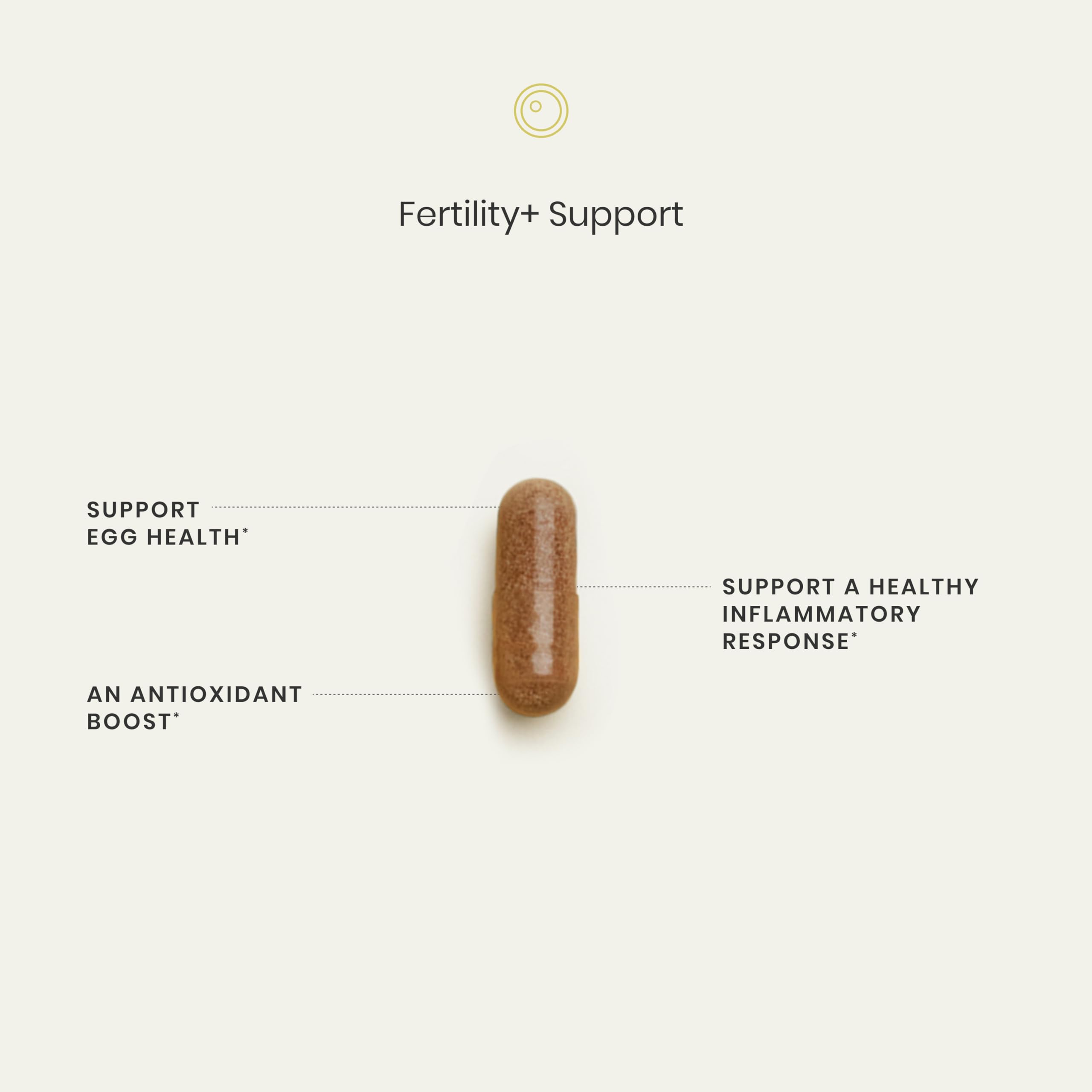 acetyl l-carnitine for female fertility Acetyl L Carnitine main image 1