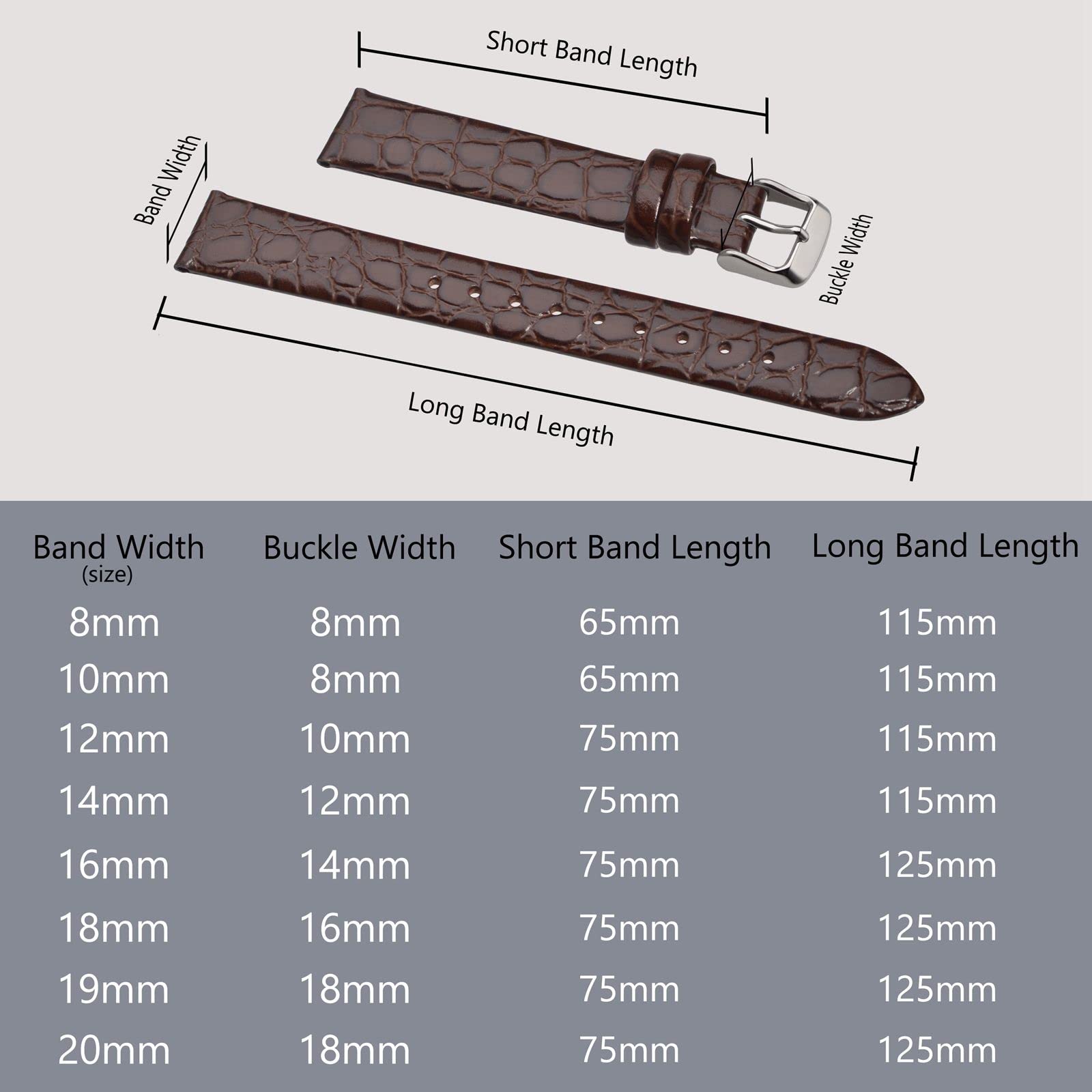 BISONSTRAP Bracelets de Montre en Cuir, Bandes de Remplacement Souples avec Boucle Polie, 10mm 12mm 14mm 16mm 18mm 19mm 20mm - 5