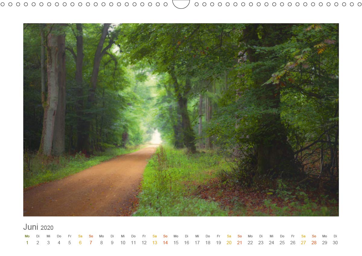 Im Märchenwald des Untertaunus (Wandkalender 2020 DIN A3 quer): Monatskalender, 14 Seiten, farbig (Monatskalender, 14 Seiten ) (CALVENDO Natur)