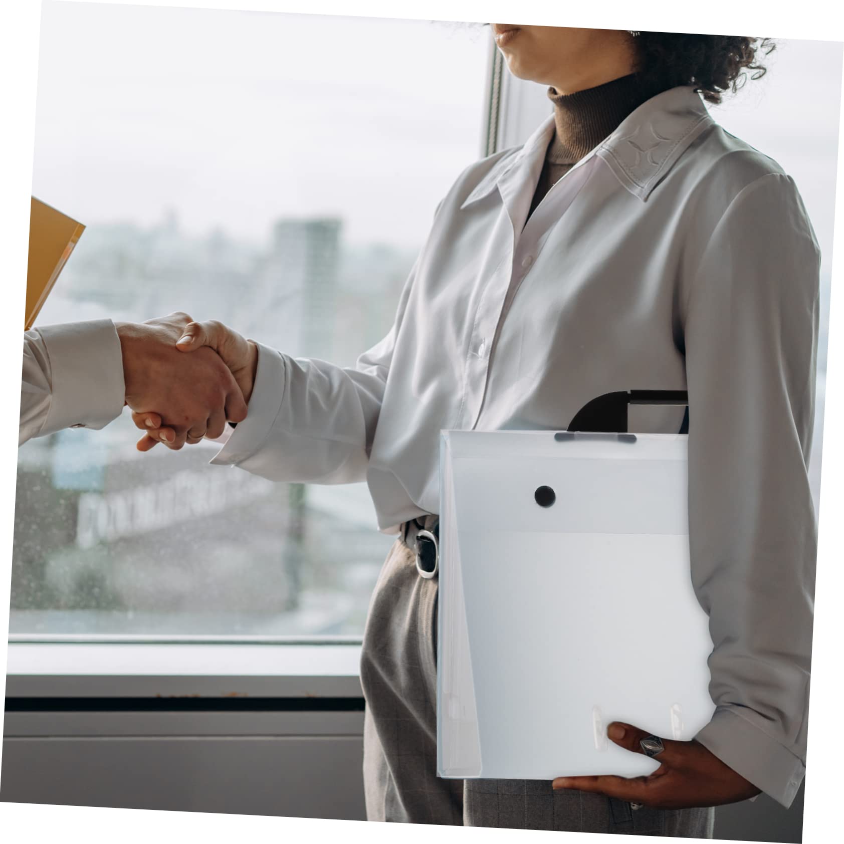 Veemoon Multi-Function Artwork Portfolio Bag for Artists Students Plastic Storage Case for Drawings Sketches Documents