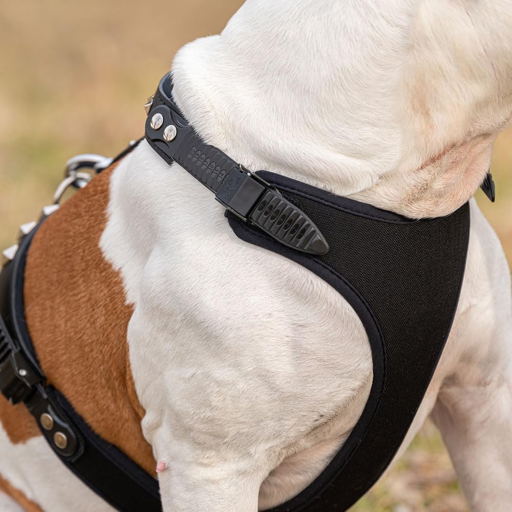 Ferplast Arnés para Perro Ajustable y Cómodo Giotto Luxor Negro, L_XL