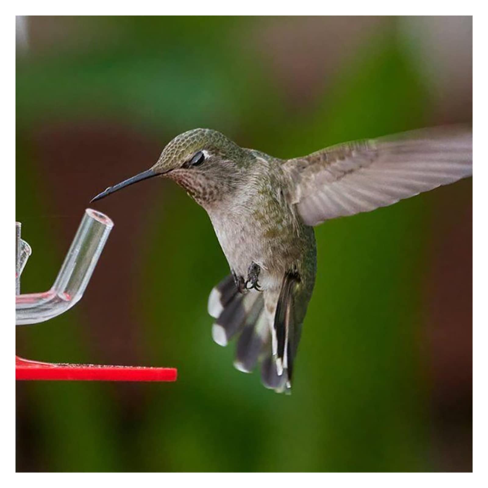 KKPLZZ Mangiatoia Per Colibrì Creativa 8 Posti, 473 Ml, Con Fiori Rossi E Gialli, Gancio In Metallo, Per Giardino Esterno
