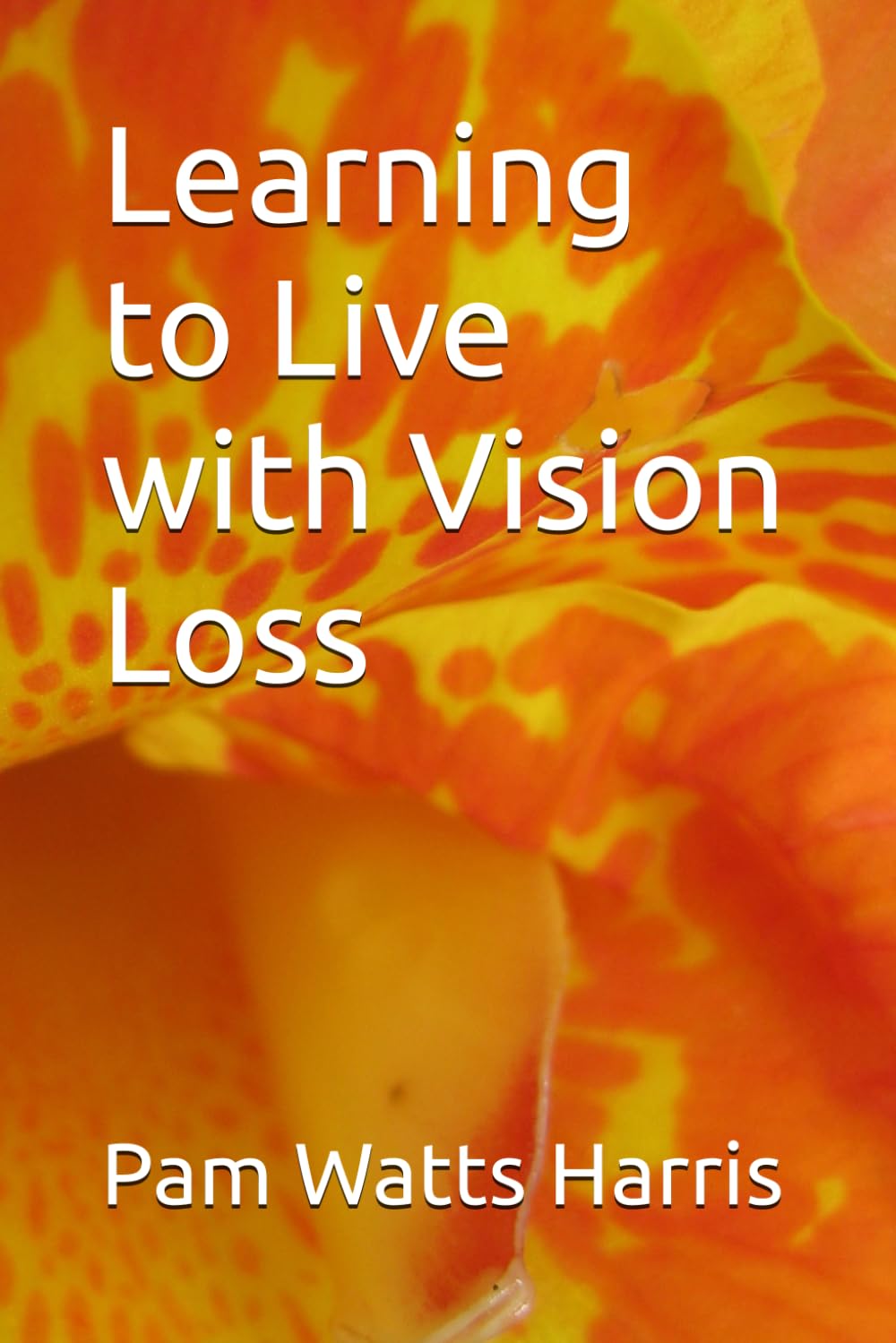 Learning to Live with Vision Loss