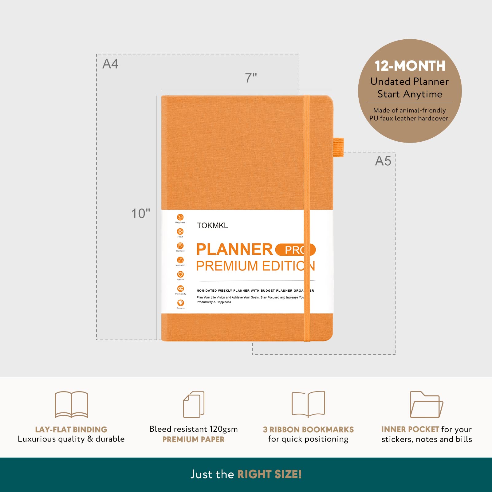 Amazon.co.jp: Planner Pro プレミアムエディション ウィークリー