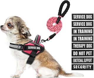 Service Dog Vest Harness and Leash Set, Animire in Training Dog Harness with 8 Dog Patches, Reflective Dog Leash with Soft Padded Handle for Small, Medium, Large, and Extra-Large Dogs (Rosy,XS)