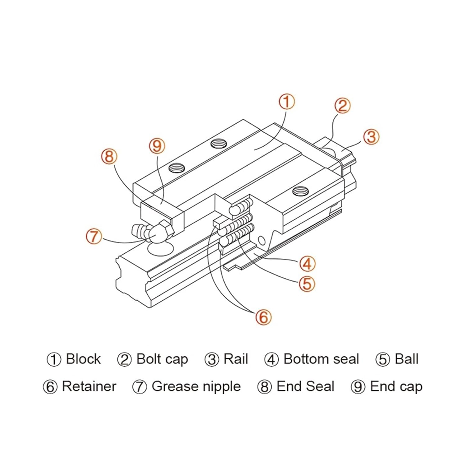 Ball Screw with nut Machine Parts 2pcs HGR20 Linear Guides+4pcs HGH20CA Blocks Carriages+1pcs Ball Screw Kit SFU1605 with 8mm Coupler Router(550mm)