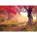 Sicheres Produkt: Verzieht sich nicht, ohne Falten, ohne Blasen, geruchsfrei - unbedenklich auch fürs Schlaf- und Kinderzimmer!