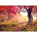 Produktbild Vlies Fototapete 400x280 cm - Top ! PREMIUM PLUS Foto Tapete ! Wandbilder XXL Wandbild Bild Fototapeten Tapeten Wandtapete Wanddeko Wand Wald Bäume Herbst - no. 258