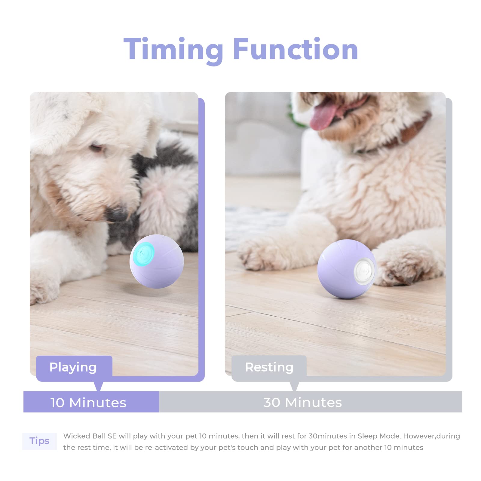 [3 Interactive Modes] Cheerble Intelligent Interactive Dog Toy Ball with LED Lights, Wicked Ball PE, Made of Natural Rubber, Jumping Activation Ball for Medium/Large Dog Birthday Gift, DC Rechargeable