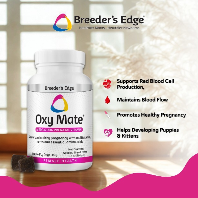 Amazon.com: Breeder's Edge Oxy Momma Soft Chews, Postnatal Vitamin