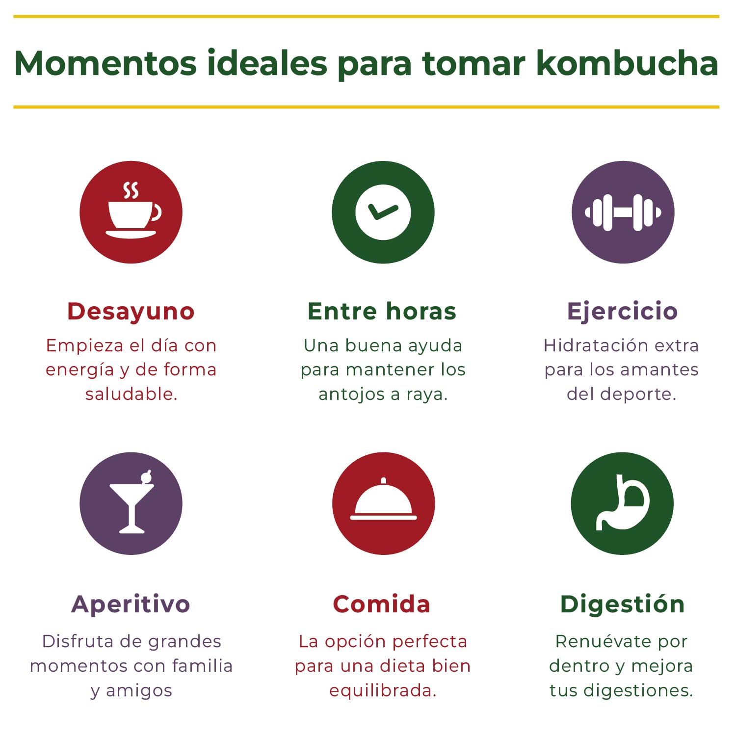 Kombucha Natural Onflow Sin Azúcar Pack 4 Botellas 1L Sabores Jenjibre-Limón Té Verde Mango-Remolacha Melón-Espirulina