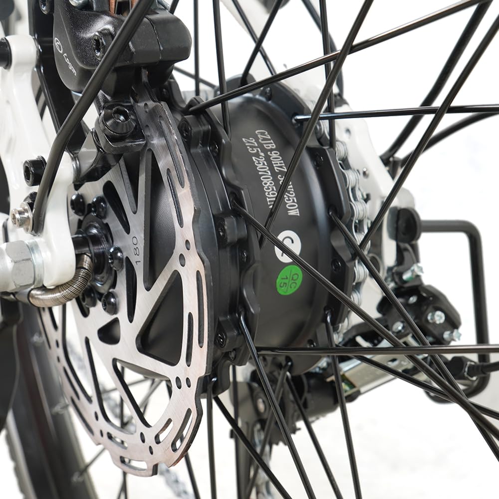 R1 E-Bike Damen 27.5 Zoll Tiefeinsteiger Trekkingrad E-Cityrad | 36V 14.5Ah Wechselakku, Bis zu 110km, 7 Gang Schaltwerk, 250W Heckmotor, Hydraulische Scheibenbremsen, EU-konform