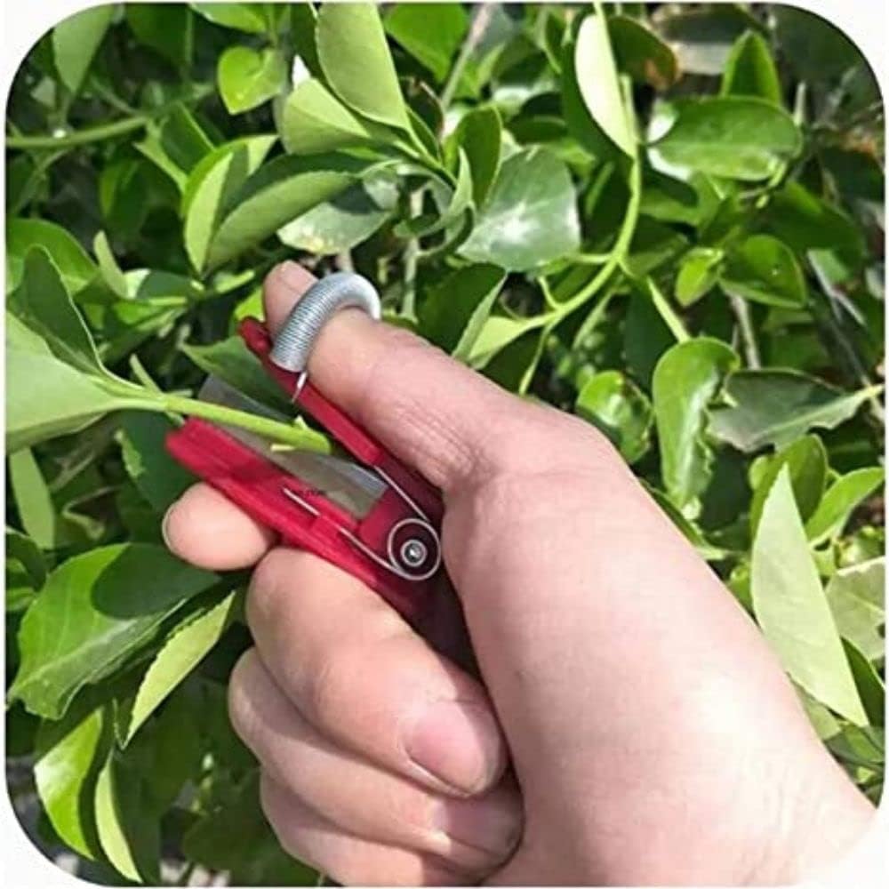 MVM Enterprise Kitchen Garden Finger Cutter Tool Grafting Knife Mini Plant Cutter with Thumb Nail Protector for Vegetable,Fruit,Plant (Multicolor,Pack of 1) (B0D76S2DDN) Amazon Price History, Amazon Price Tracker