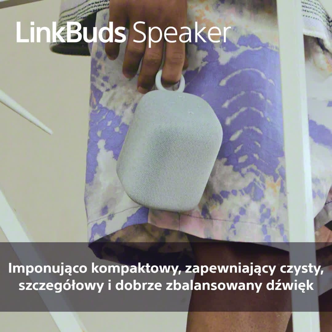 Sony LinkBuds Speaker przenośny bezprzewodowy głośnik Bluetooth ze stacją ładującą, IPX4, wodoodporny, 25-godzinny akumulator, jakość dzwonka, głośnik domowy, szary