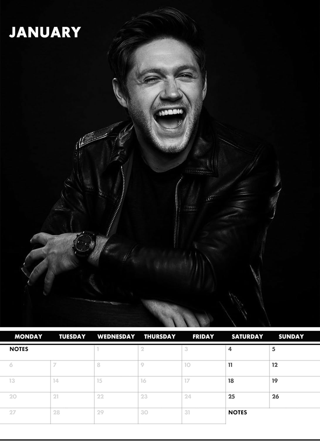 Calendario 2025 Niall Horan Formato A3 - 12 Foto, Calendario A Spirale Da Parete - Foto 2