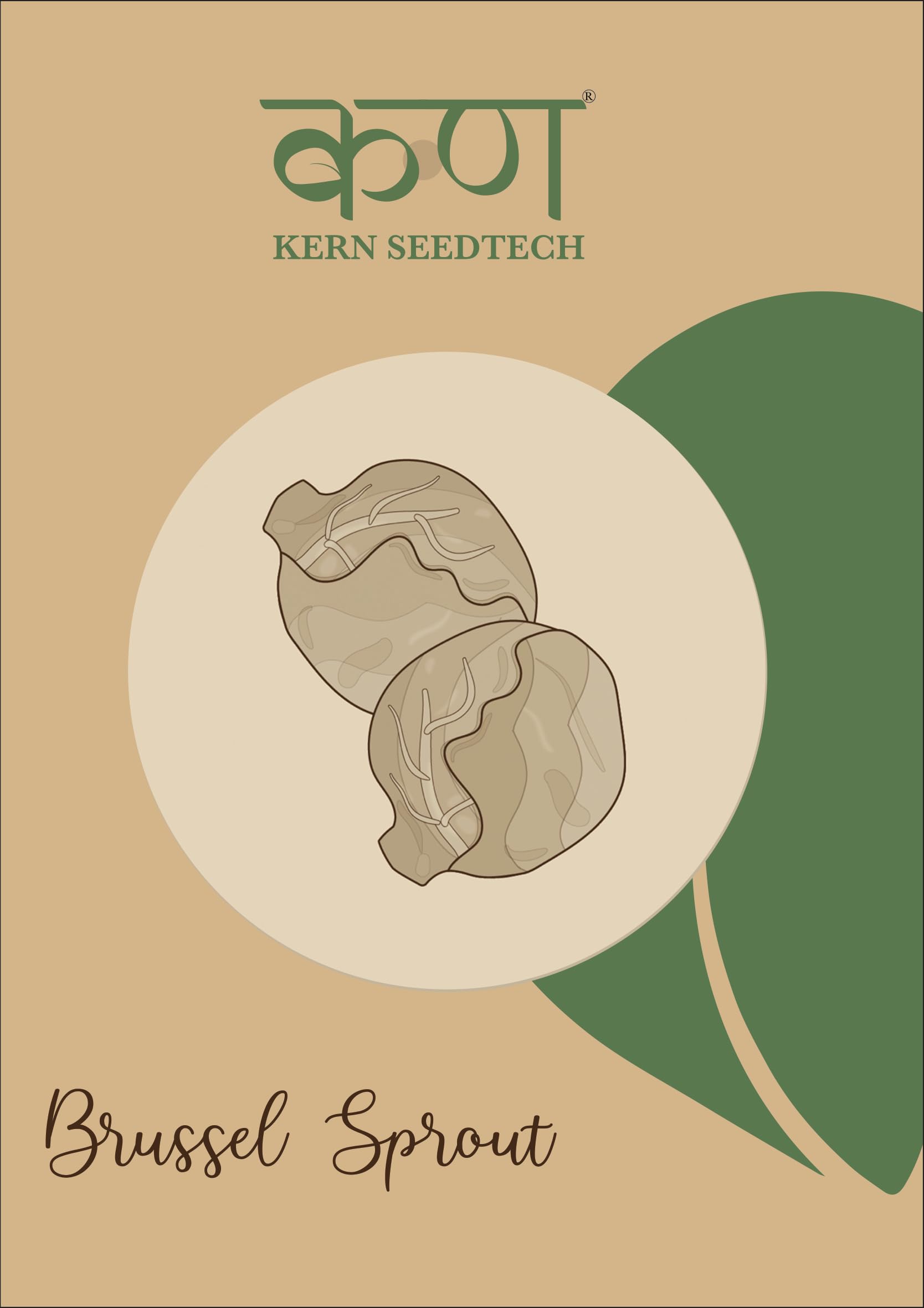 Kern SeedTech Organic Vegetable Brussels Sprouts Seeds | Pack Of 100 Seeds | High Germination, Non-GMO | Perfect For Home Gardening (B0CFYB3RX4) Amazon Price History, Amazon Price Tracker