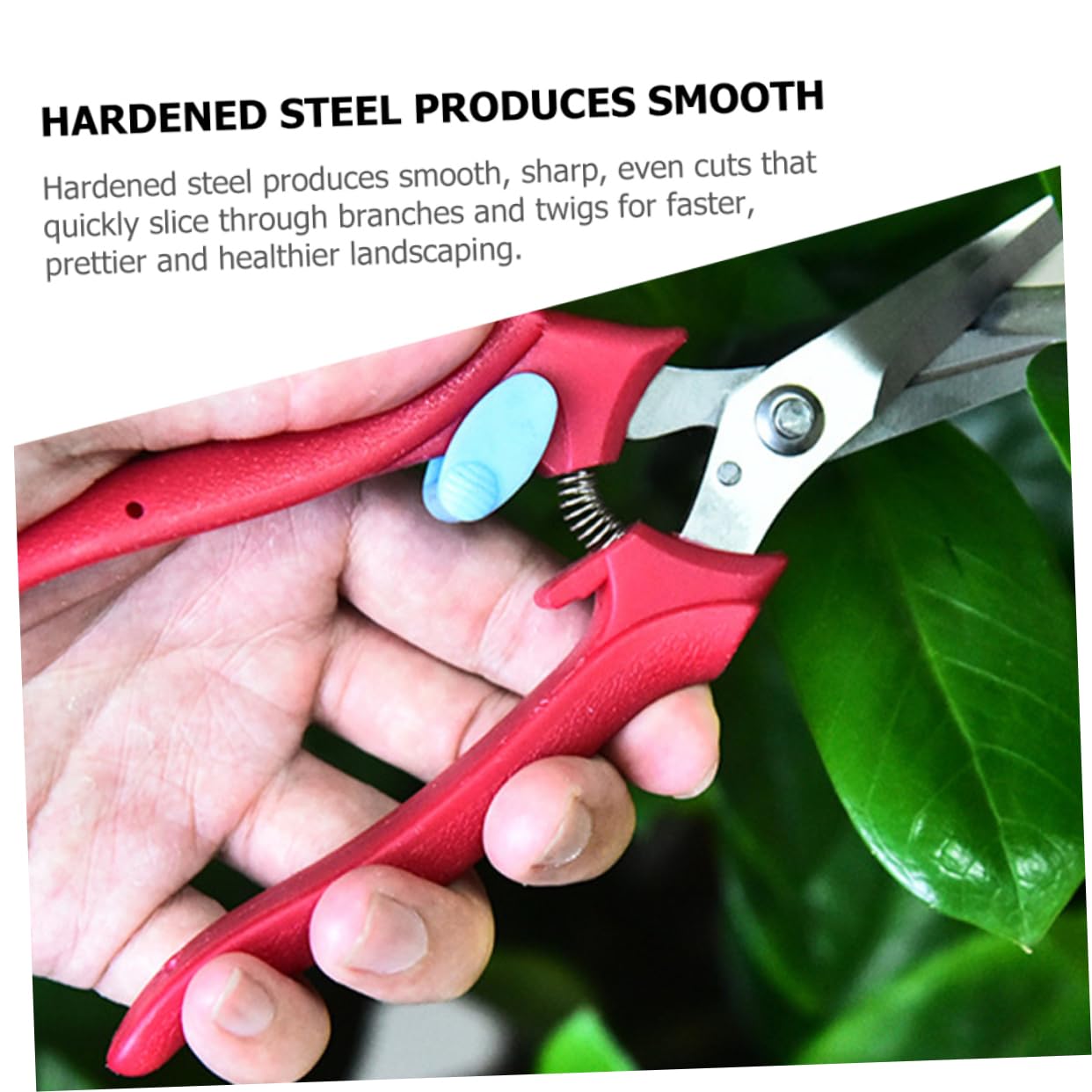 Toyvian 3 Stück Ergonomische Obstschneider für Präzises Trimmen Hochwertige Pflanzenschneider mit Rutschfesten Griffen für Gartenarbeiten