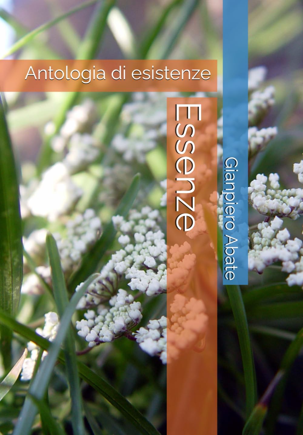 Essenze: Antologia di esistenze