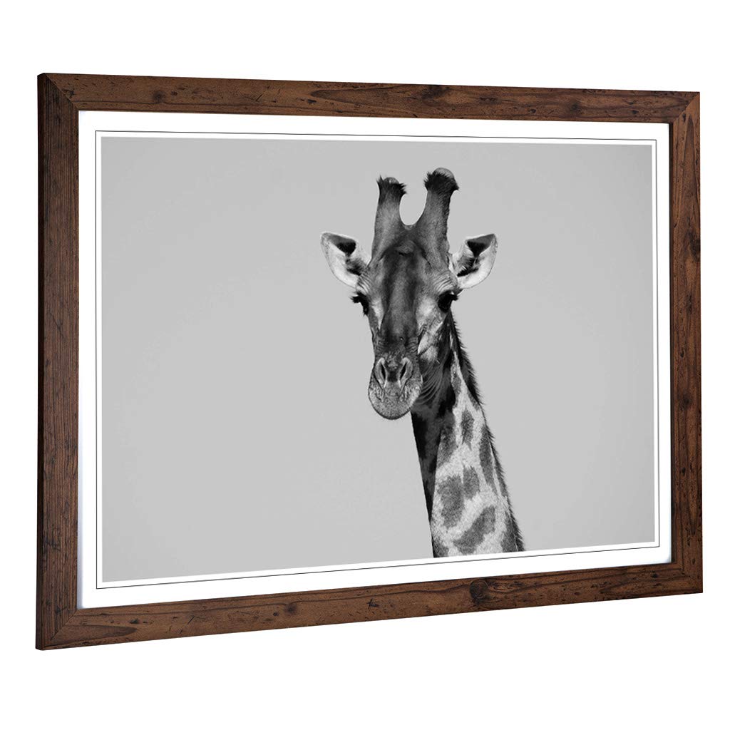 Big Box Art Framed Print of Giraffe Design | Wall Art Picture | Home Decor for Kitchen, Living, Dining Room, Lounge, Bedroom, Hallway, Office, Walnut, A2 / 24.5x18 Inch / 62x45cm