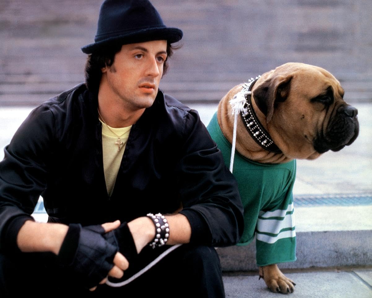 Rocky II (1979) Sylvester Stallone 10x8 Photo