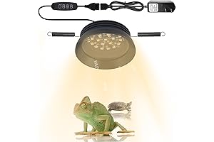 LED UVB Reptile Light with Lighting Control: An Oasis of Health for Your Scaly Companions