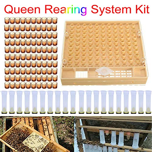 Veronivan Beekeeping Tools Set Rearing Cup Kit Bee Cultivating Tool Plastic Beekeeping Box Cage Set Beekeeper Equipment Supplies