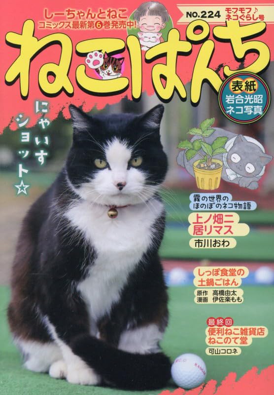 ねこぱんち モフモフ♪ネコぐらし号 (にゃんCOMI) | アンソロジー |本