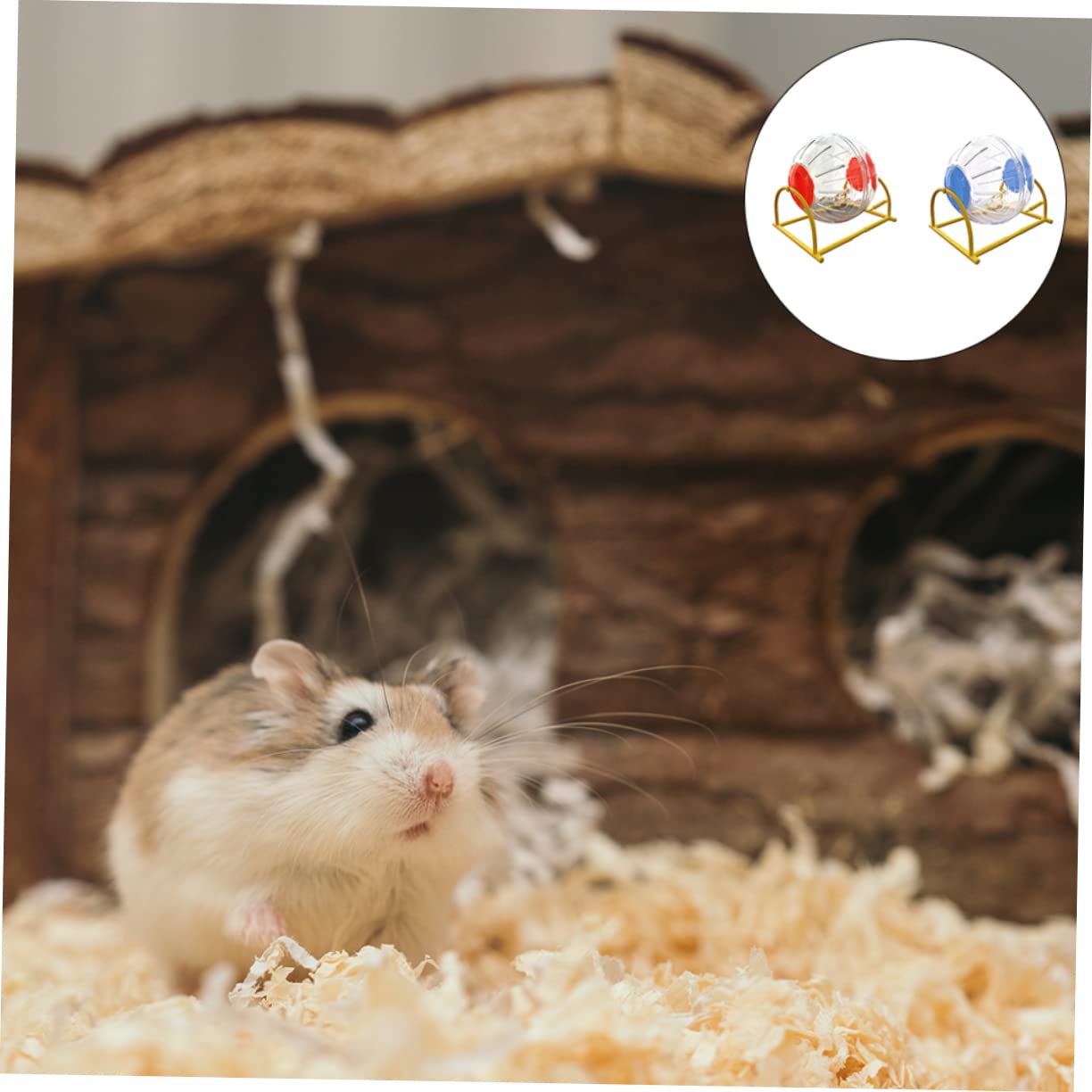 2stücke Hamster Spielzeug Laufräder Bunte Trainingskugeln Für Kleine Haustiere Für Und Spaß Fördert Und Wohlbefinden
