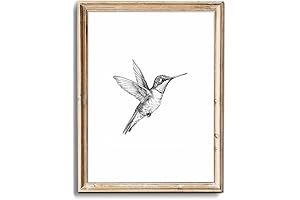 Vintage Hummingbird Sketch Small Canvas Art Prints