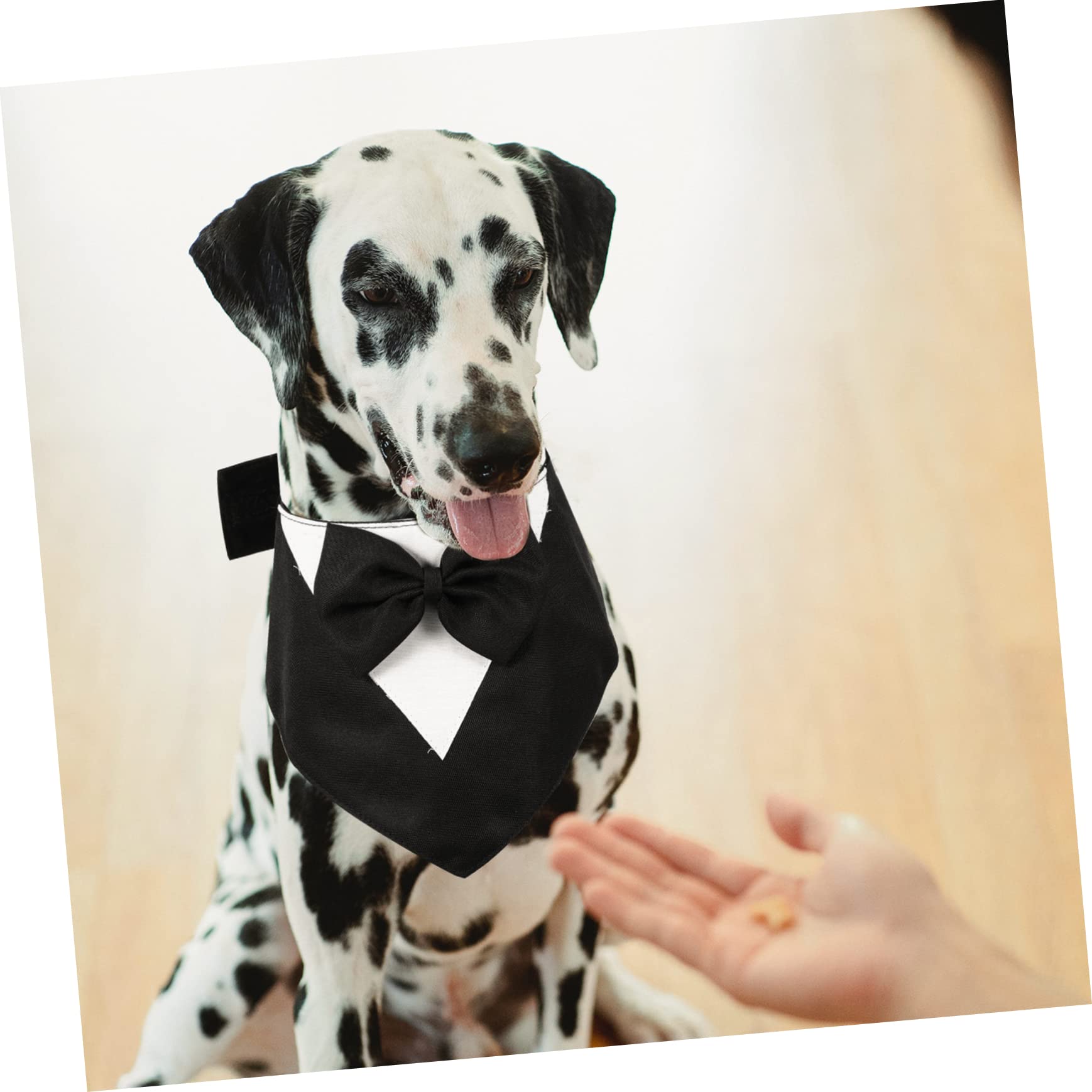 POPETPOP 3stücke Puppy Suit Hundebandana Mit Verstellbarem Halsband Und Fliege Für Haustiergeburtstagsfeiern Hochzeiten Und Besondere Anlässe