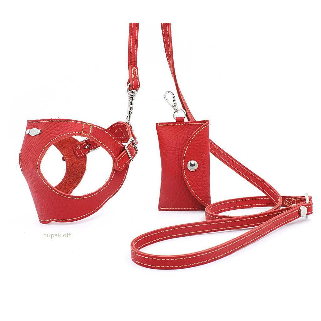 Basic. Set 3 Pezzi. Pettorina per Cani, Guinzaglio e Porta Sacchetti per Cane in Pelle Made in Italy Arancione 2XS