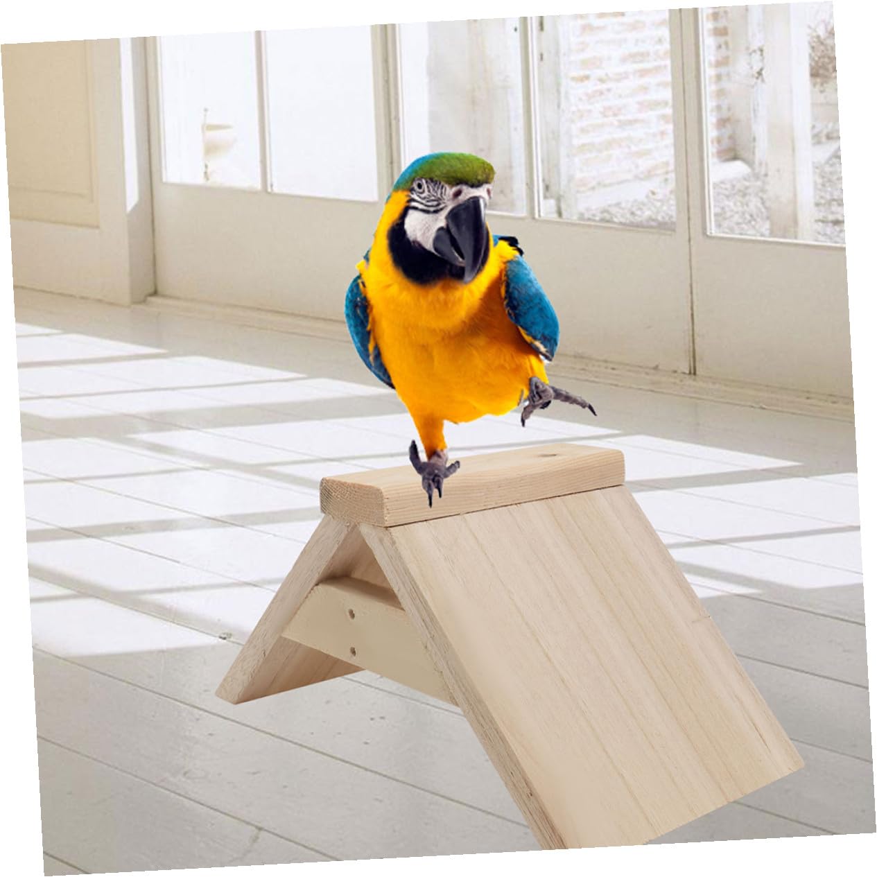 Gatuida Soporte De Madera Natural para Palomas y Loros, Percha Multifuncional De 5 Piezas, Tamaño Mediano, para Descanso y Juegos De Aves Pequeñas, Suministros para Mascotas y Parque De Aves