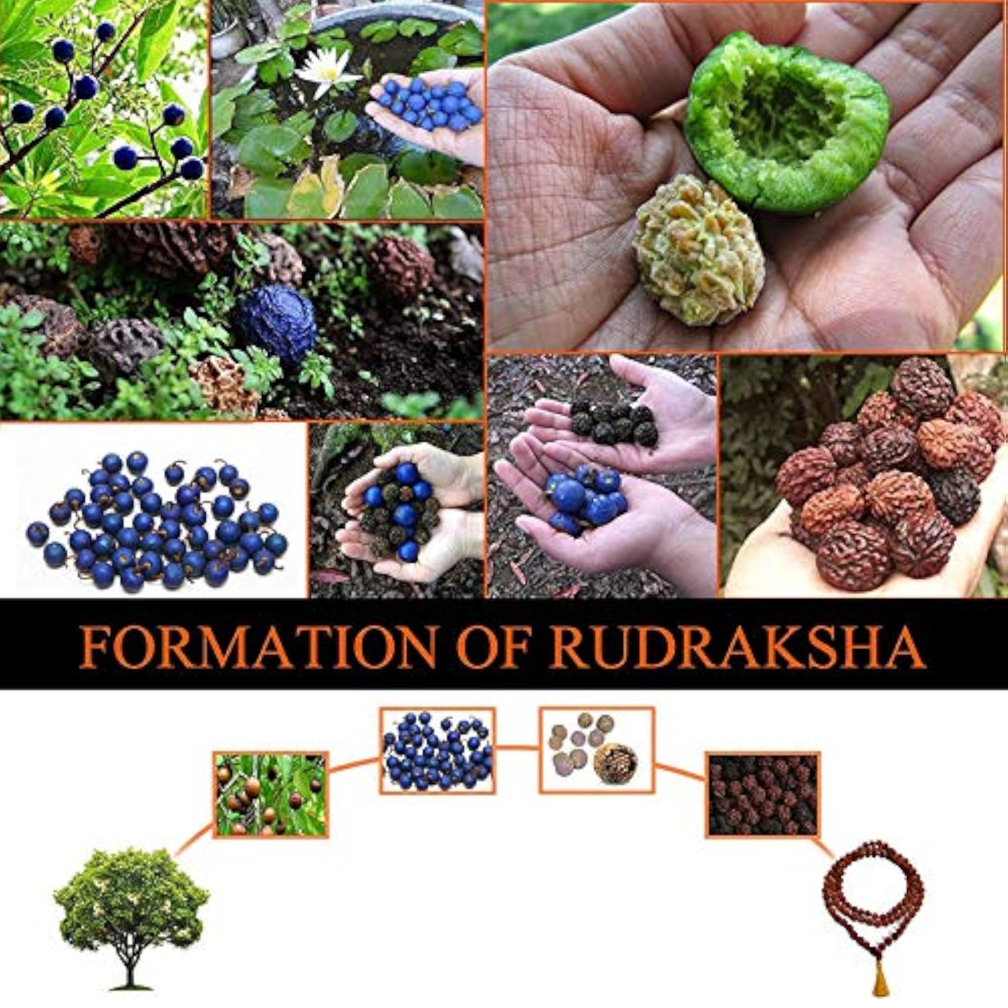 5 Mukhi Rudraksh Mala with Certificate (Brown)