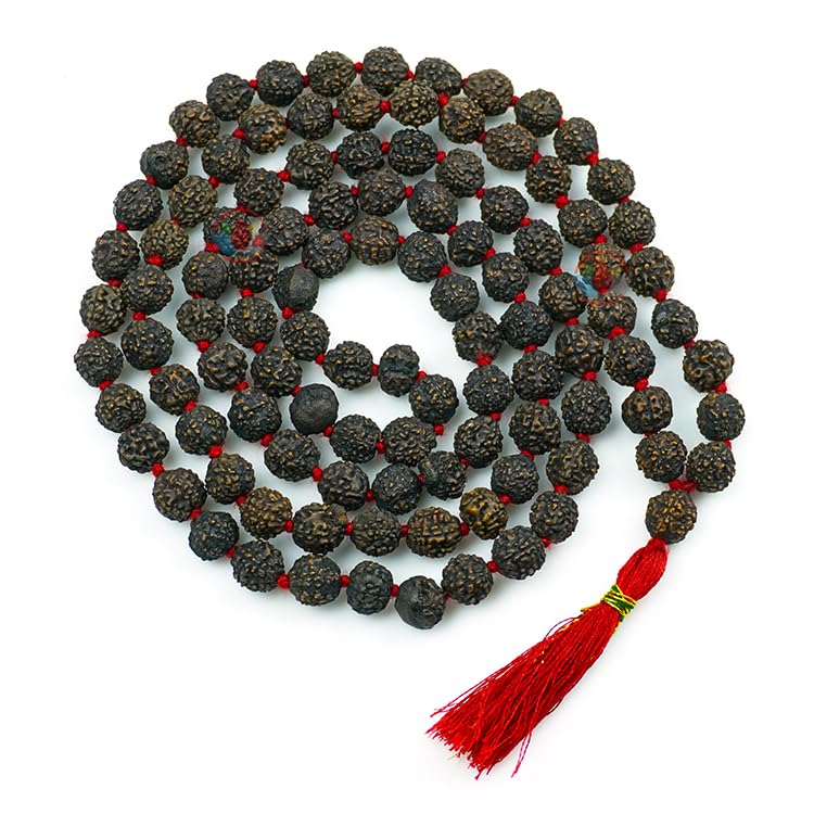 See full amazon price history chart for Divine Hindu Original ISO Certified 108 Black Rudraksha Jaap Mala authentic Wood Beads Mala For Men & Women Divine Hindu Original ISO Certified 108 Black Rudraksha Jaap Mala authentic Wood Beads Mala For Men & Women (B0DB2FR93B) Amazon Price History, Amazon Price Tracker