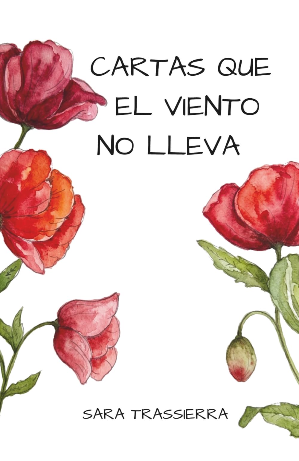 CARTAS QUE EL VIENTO NO LLEVA