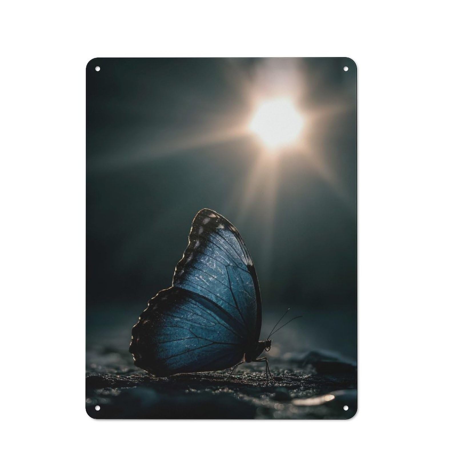 Junmoney Blue Butterfly In Sunlight Metal Wall Sign 40X30cm, Retro Decor For Workshop Wall, For Garage, Workshop And Man Cave Decoration