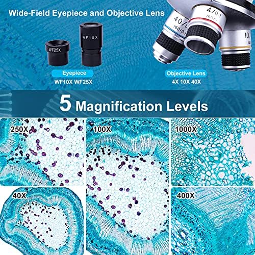40X-1000X Binocular Microscope for Adults with Microscope Slides Phone Holder and Specimen Preparation Kits, Compound Binocular Microscopes for Home Educational/Hobby Use 4 615IPAujEfL. AC