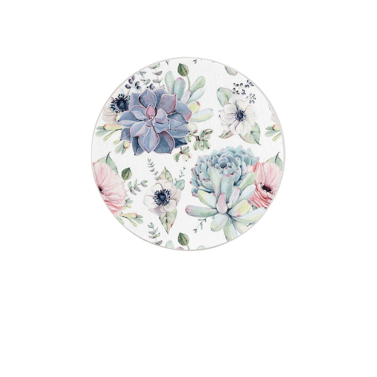 Succulent Plants Two Pieces Drink Coaster for Tabletop Protection Place Mats for Home Decor