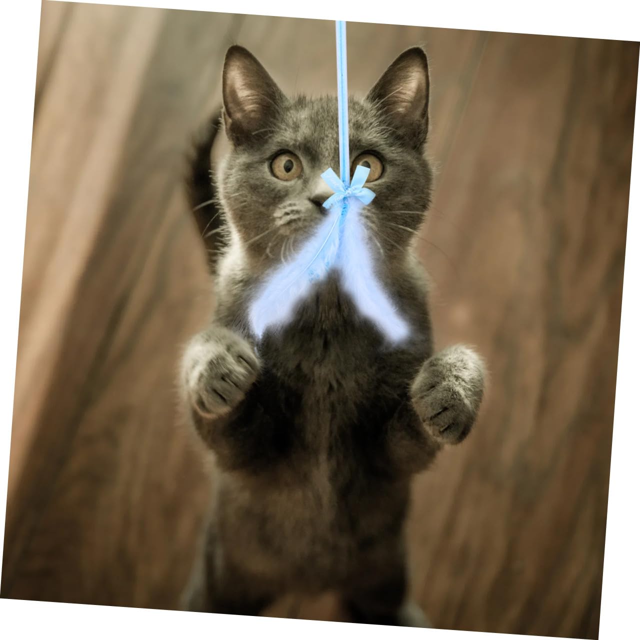 FRCOLOR Juguetes para Gatitos 9 Piezas Palo de Teaser de Borla Juguetes para Mascotas Gatito Juguetes Juguetes Juguete para Gatos Varita mágica Hada Regalo de cumpleaños Palo de burlas