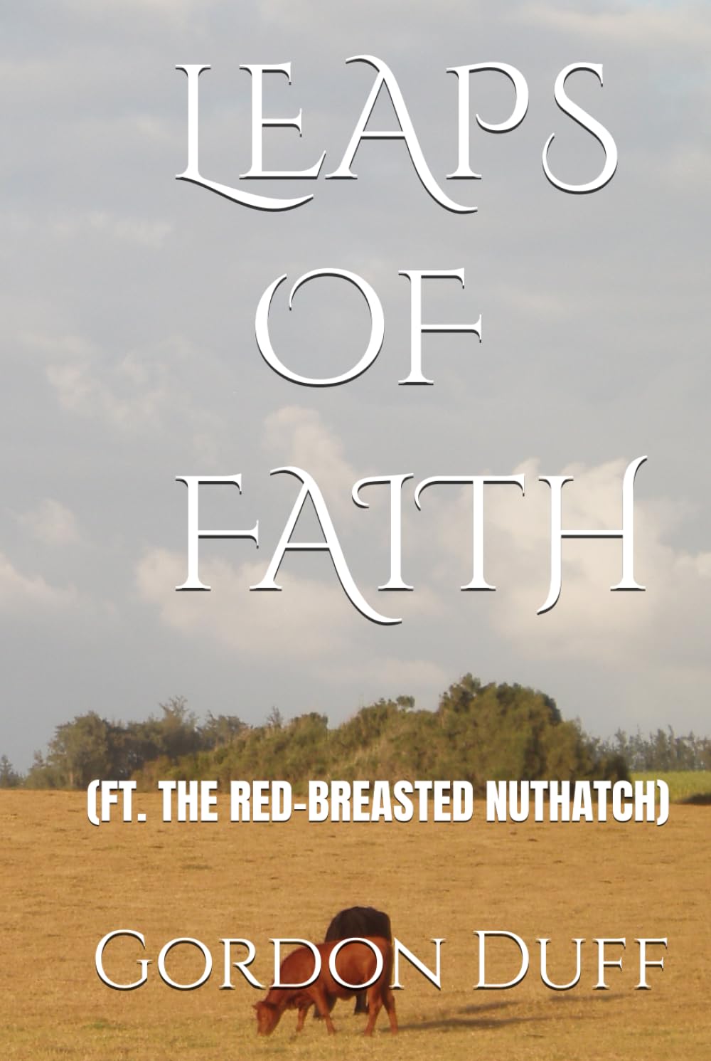 Leaps of Faith