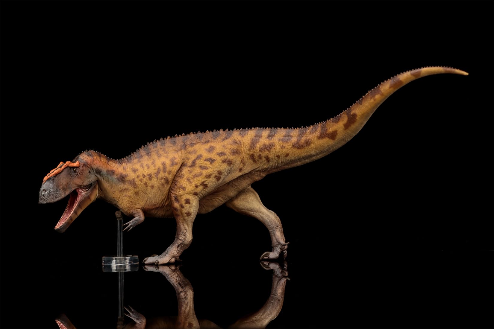 AMITD Taurovenator Figure Dinosaur Model Collector