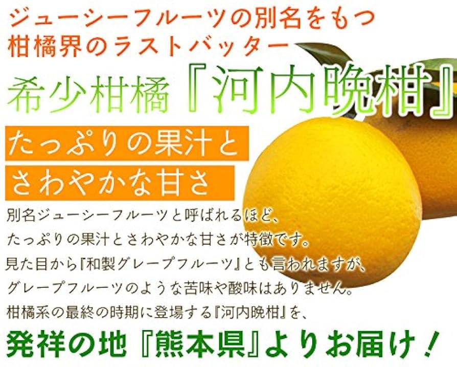 Amazon.co.jp: 熊本産 訳あり 河内晩柑 20kg［10kg×2箱］【 九州