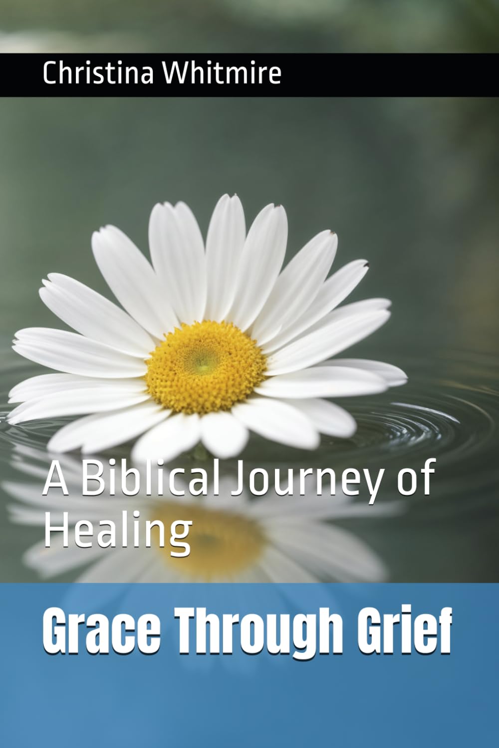 Grace Through Grief: A Biblical Journey of Healing