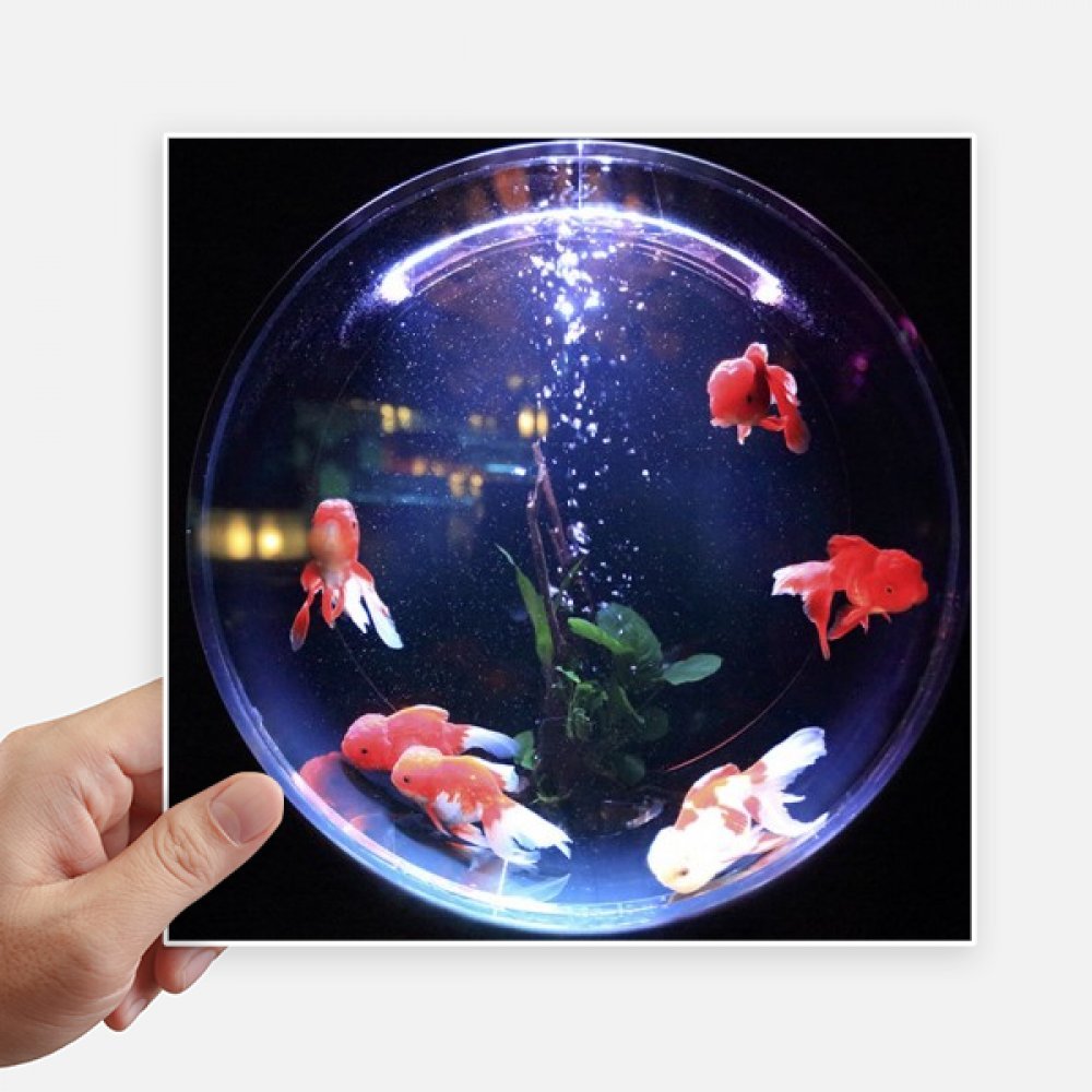 Image autocollant poisson multicolore pour personnaliser la valise