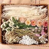 10 Kinds of Dried Flowers for Crafts Green Series Natural Dried Flowers Dry Hydrangea Daisy Babys Breath with Stems Boho Wedding Flower Bouquets with Hemp DIY Floral Arrangement Rope for Home Decor